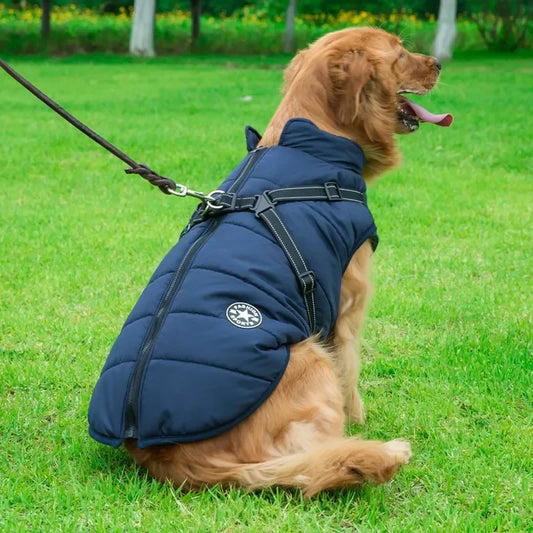 Veste imperméable pour chien, gilet, vêtements chauds d'hiver avec harnais