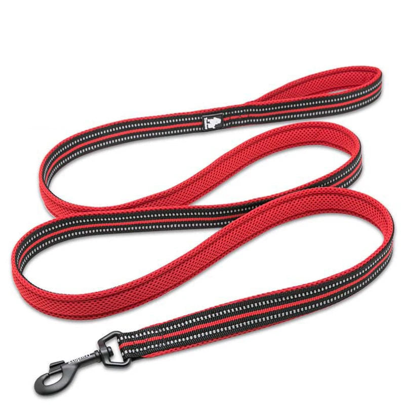 Winhyepet – laisse pour chien en Nylon, avec poignée rembourrée, robuste, Durable, 200cm, accessoire de luxe pour animaux de compagnie, petit, moyen et grand gabarit