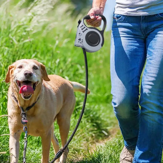 Laisses rétractables rechargeables pour chiens