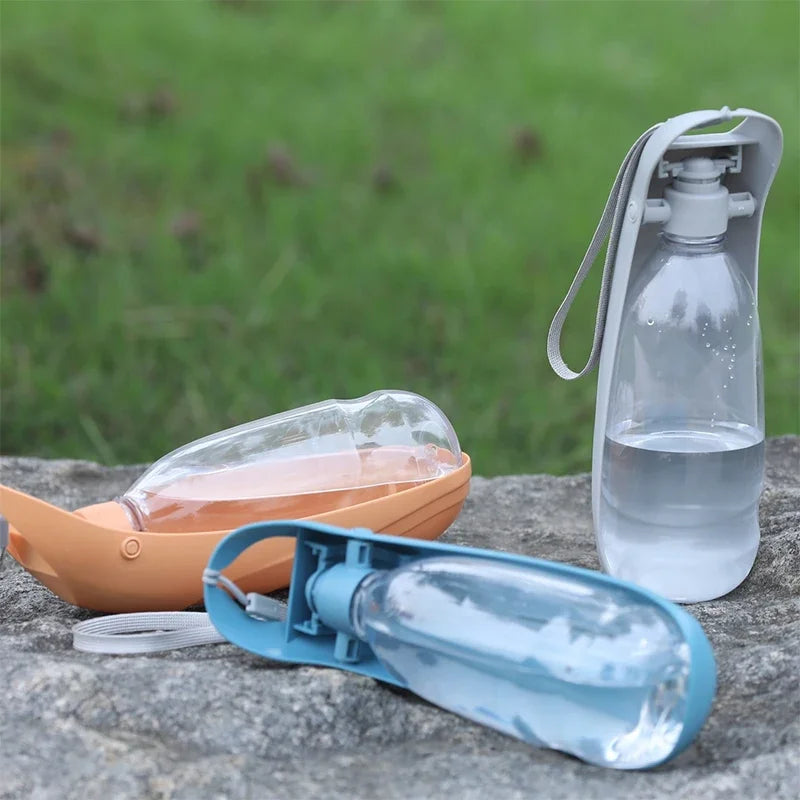 Bouteille d'eau portable pour chiens