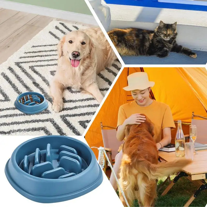 Bol à labyrinthe à alimentation lente pour chien, plats de nourriture interactifs pour animaux de compagnie