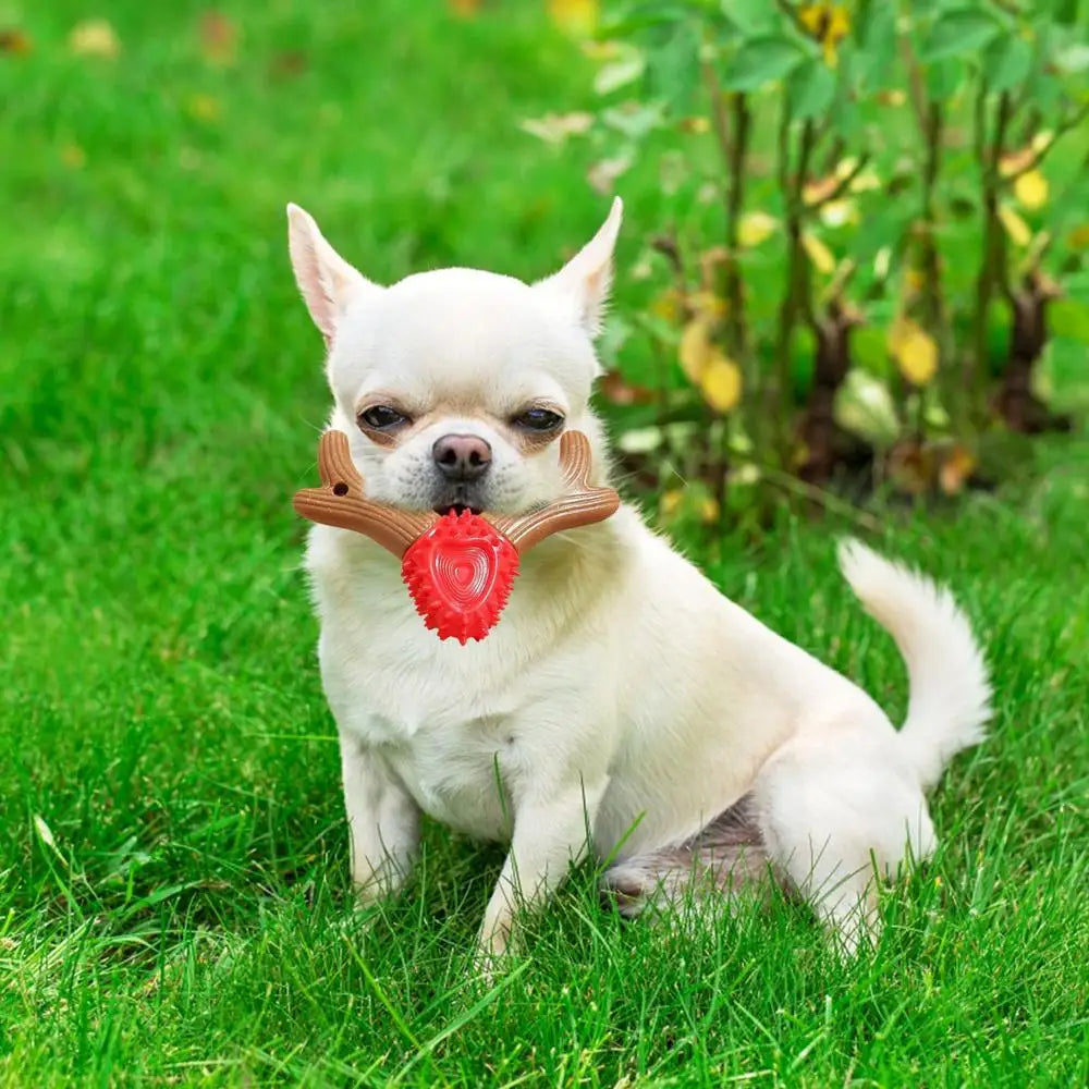 Jouets de brosse à dents en forme de bois pour chiens.