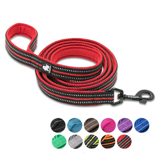 Winhyepet – laisse pour chien en Nylon, avec poignée rembourrée, robuste, Durable, 200cm, accessoire de luxe pour animaux de compagnie, petit, moyen et grand gabarit