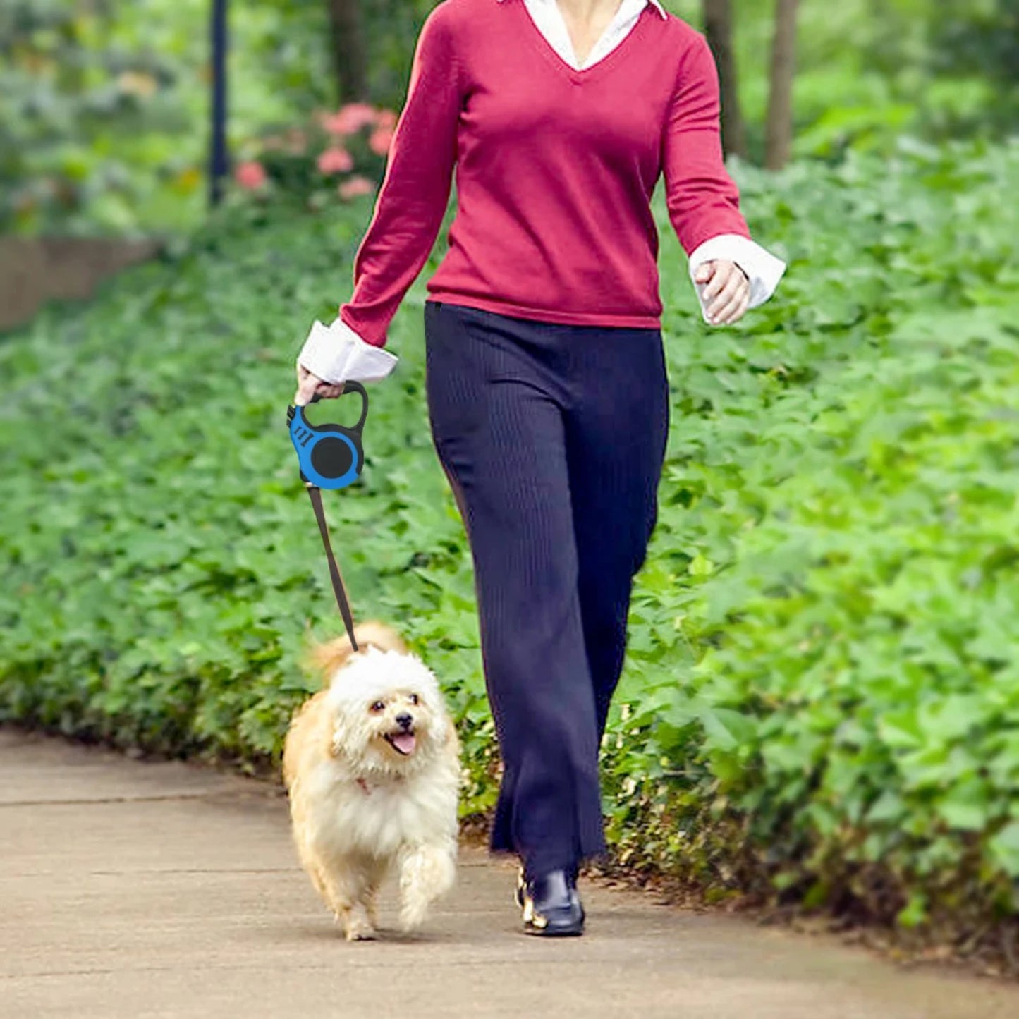 Laisse rétractable pour Chiens