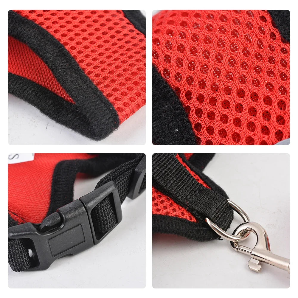 Sangle de poitrine réglable SFP GlaSoft Mesh pour chien, sangle de sécurité en nylon, laisse de marche en plein air,