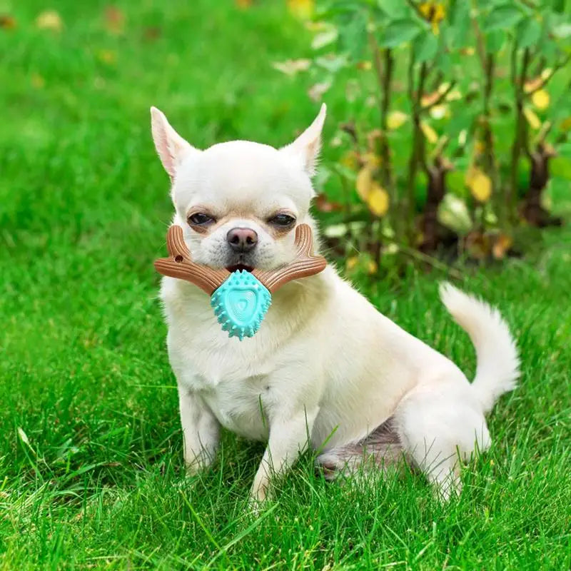 Jouets de brosse à dents en forme de bois pour chiens.