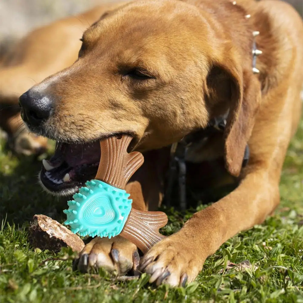 Jouets de brosse à dents en forme de bois pour chiens.