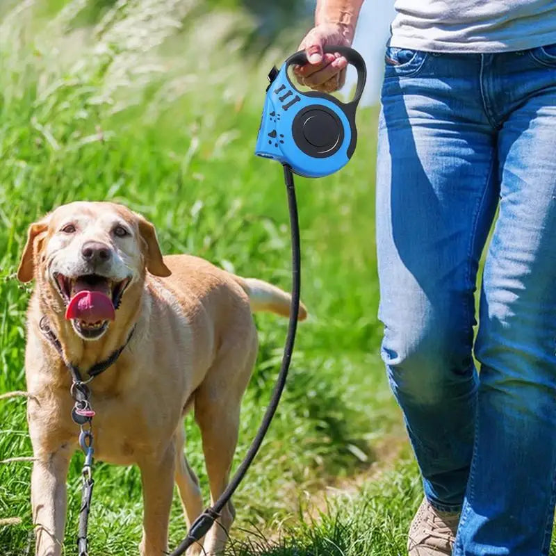 Laisses rétractables rechargeables pour chiens