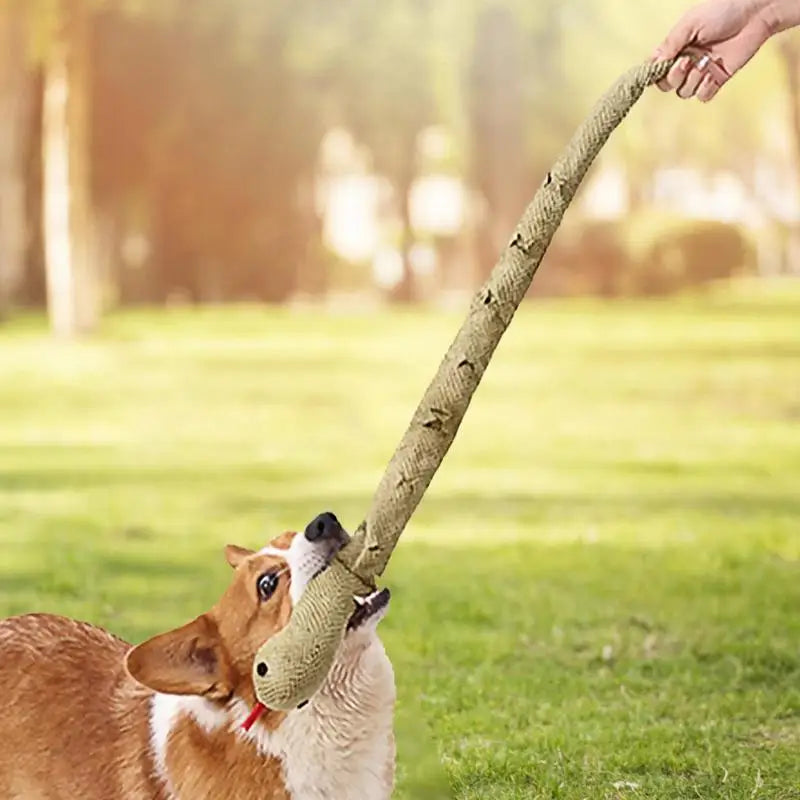 Jouets de reniflement pour chien, jouet interactif pour l'ennui et pour la recherche de nourriture